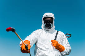 Best Real Estate Pest Inspections  in Big Pine Key, FL